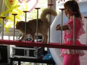 ����������� ����� �����!